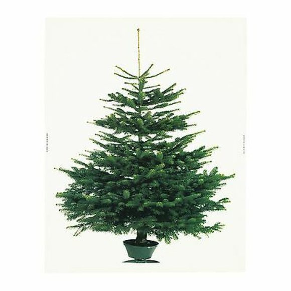 Ikea VINTER 2014 Christmas Tree fabric panel - Picture 5 of 5